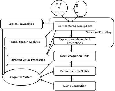 Investigating the Time Course of Part-Based and Holistic Processing in Face Perception